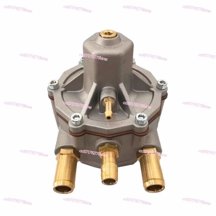 CNG Automotive Natural Gas Parts LPG Liquefied Vehicle Multi-point Pressure Reducer Thomas Evaporator Direct Injection