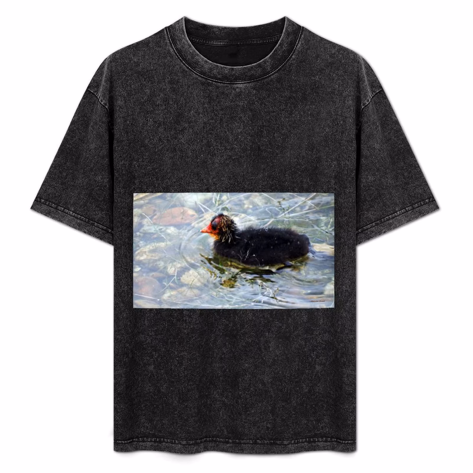 Baby Coot T-Shirt Plus Size Outdoor Casual Top