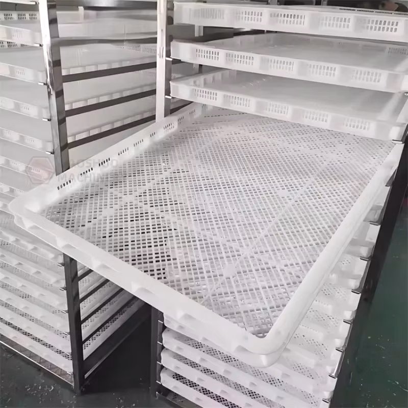 Hot Air Circulation Stainless Steel Noodles Food Dehydrator High Efficiency Spice and Chili Drying Oven