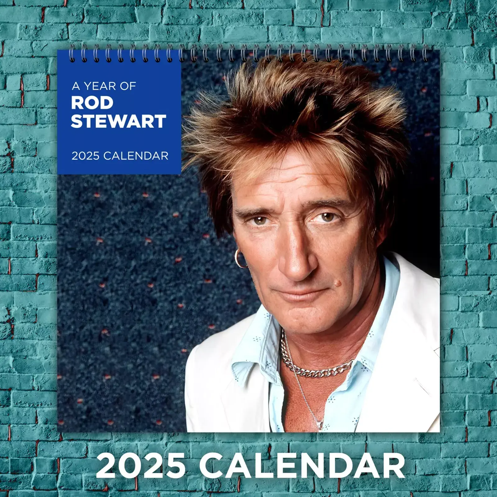 Rod Stewart 2025 Calendar, 12-month Celebrity Wall Calendar, Fan Gift