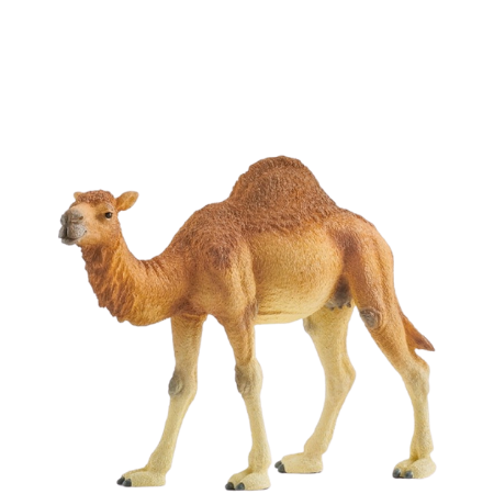 Schleich Dromedary - 14832