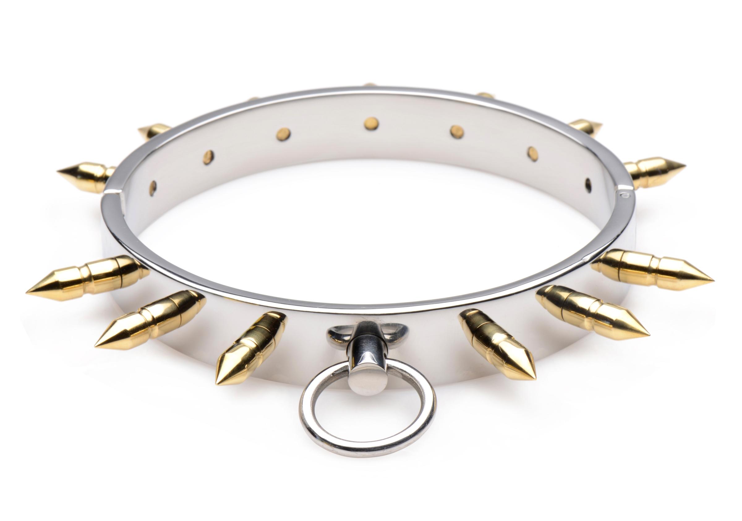 Stainless Steel Spiked Collar