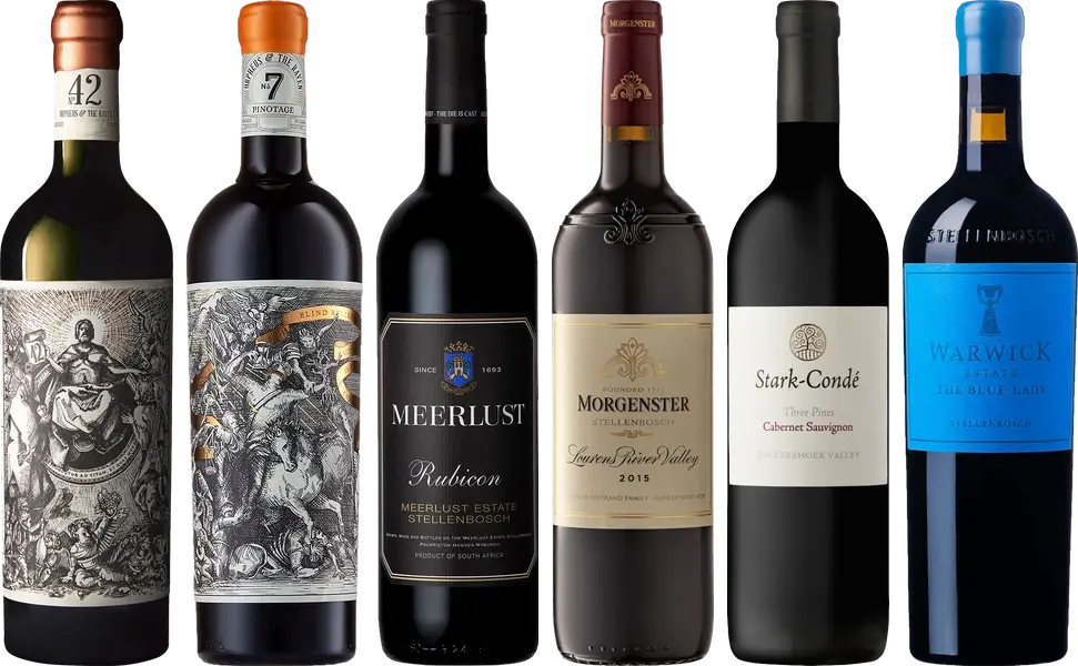 South African Red Wine Premium Tasting Case