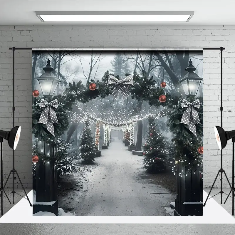 Aperturee Winter Park Christmas Backdrop Street Lamp Grey Bow Light Tunnel Background Snowy Path Holiday Party Decoration