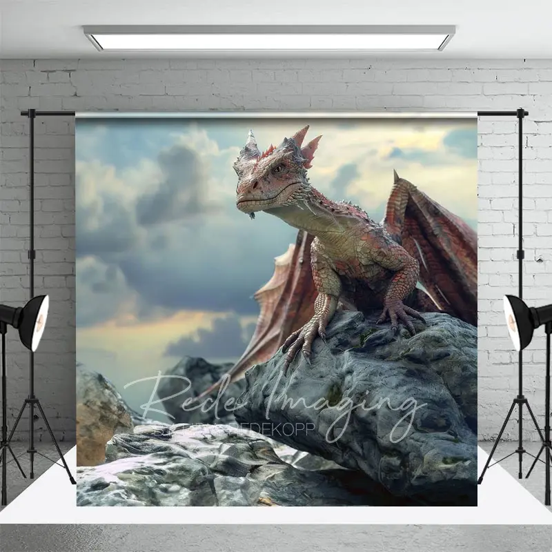 Aperturee Cloud Sky Rocks Welsh Dragon Natural Scene Backdrop, 3X2FT(1MX0.6M), 14 USD, natural scenery backdrops, LRHD1K88-M