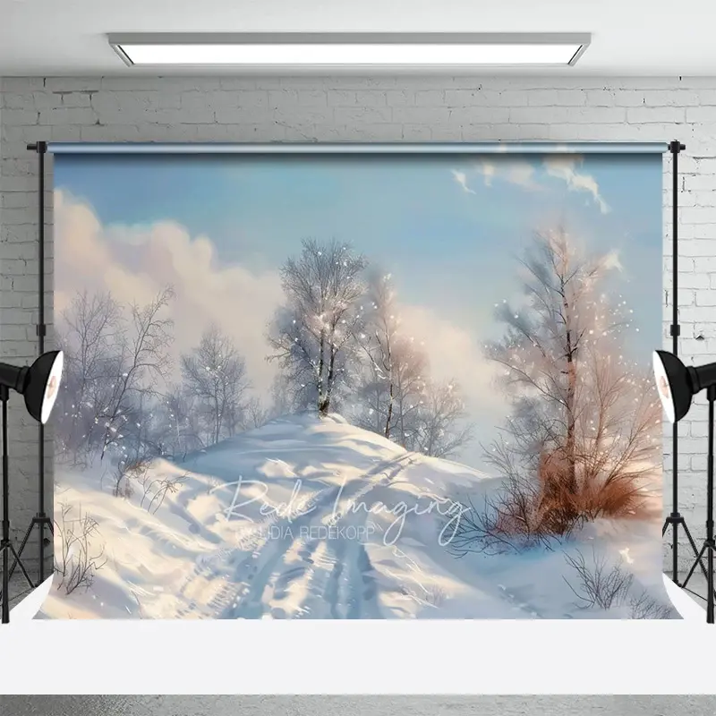 Aperturee Winter Landscape Backdrop Snowy Hill Birch Tree Photography Background Nature Scenic Painting Holiday Party Decoration