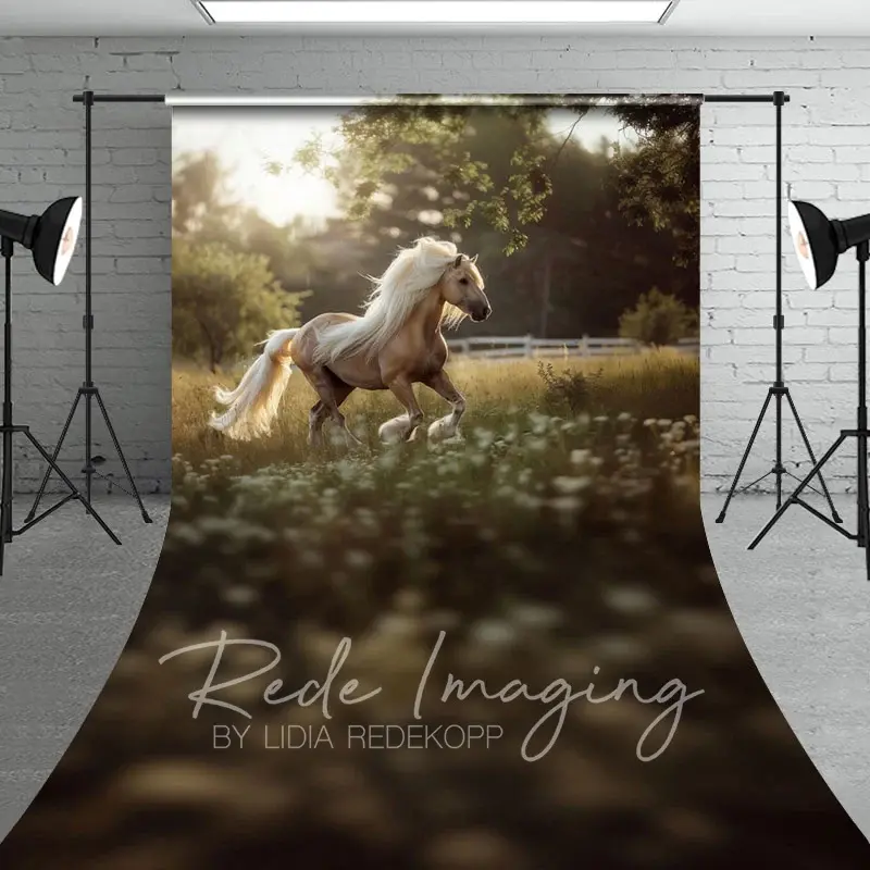 Aperturee Summer Sunlight Grassland Sunny Pony Sweep Backdrop, 5 x 7 ft (1.5 x 2.1 m), 42 USD, sweep backdrops, LRSD4K04-D