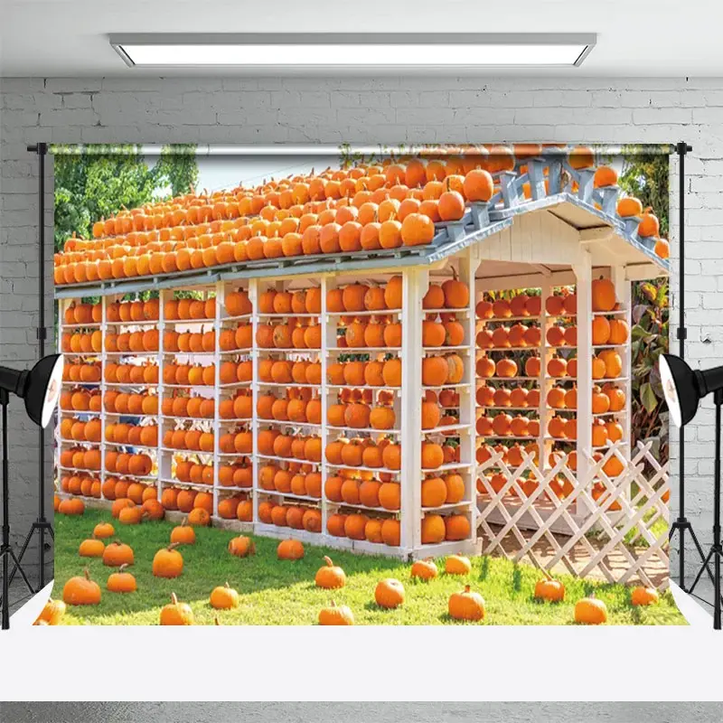 Aperturee Autumn Pumpkin House Sunshine Photography Backdrop, 3X2FT(1MX0.6M), 14 USD, autumn backdrops, NYHD12808354-M
