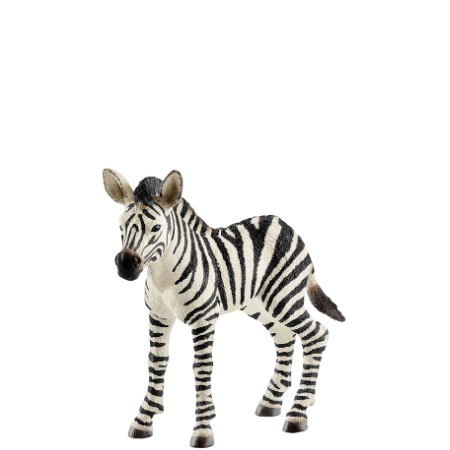Schleich Zebra Foal - 14811