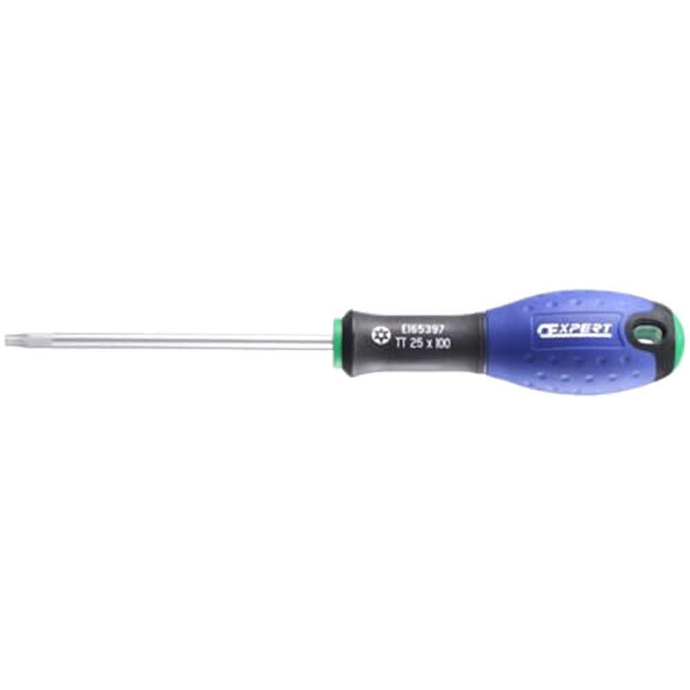 Expert by Facom Security Torx Screwdriver