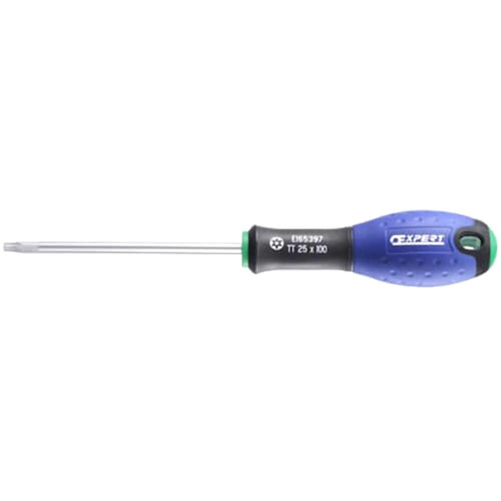 Expert by Facom Security Torx Screwdriver T30 125mm