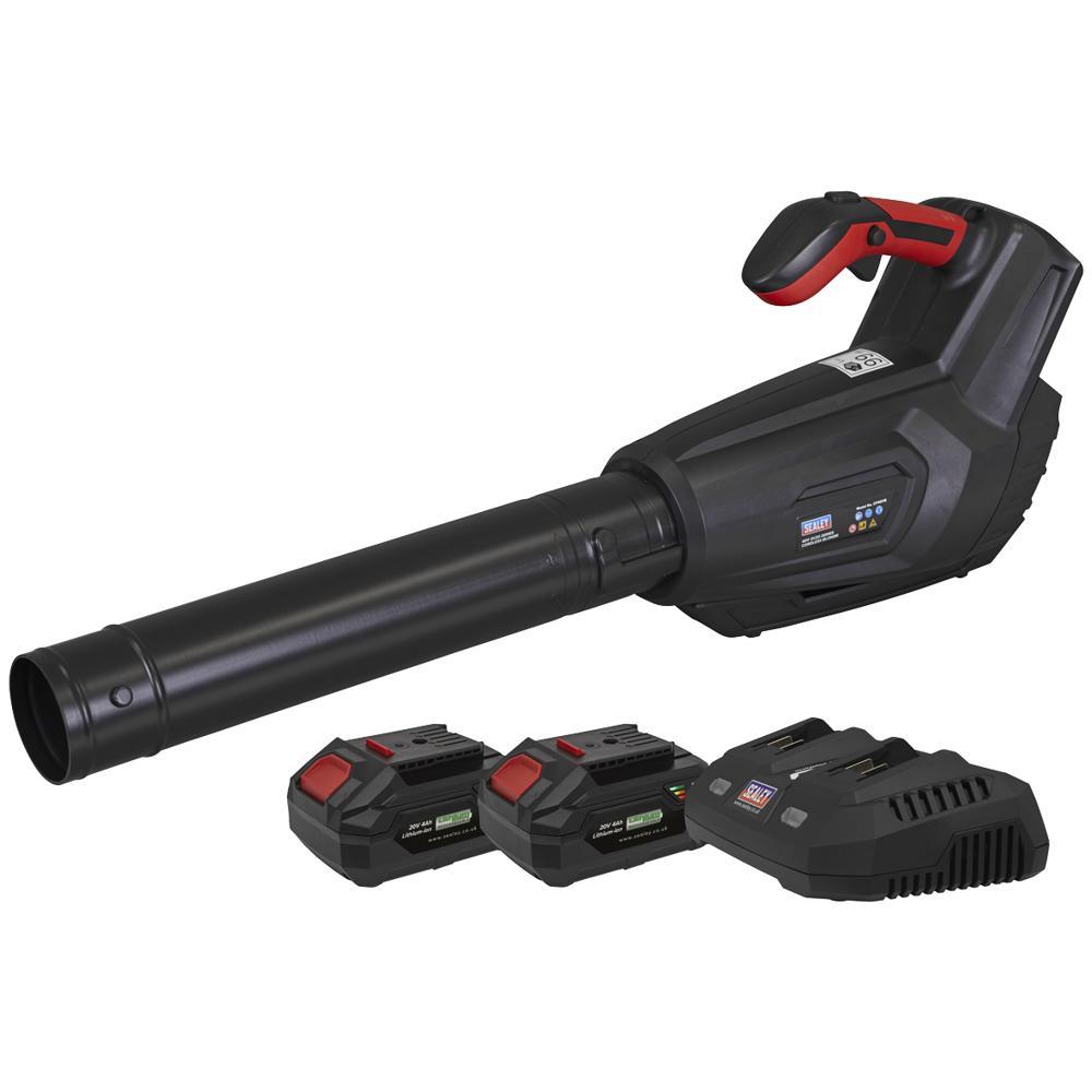 Sealey CP40VB Twin 20v Cordless Leaf Blower 2 x 4ah Li-ion Battery Charger