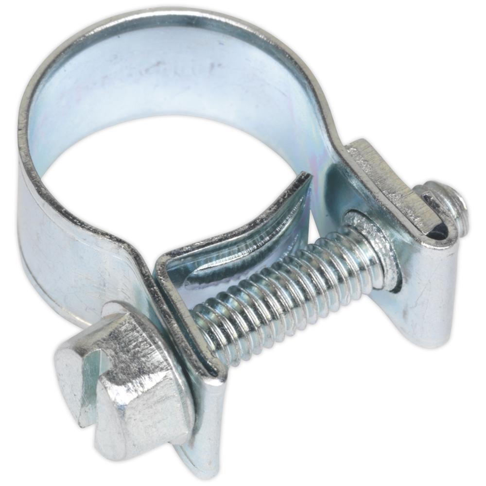 Sealey Mini Hose Clips 12mm - 14mm Pack of 30