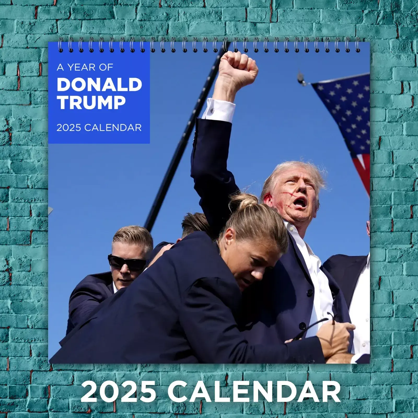 Donald Trump Calendar 2025, Donald Trump Celebrity 2025 Wall Calendar