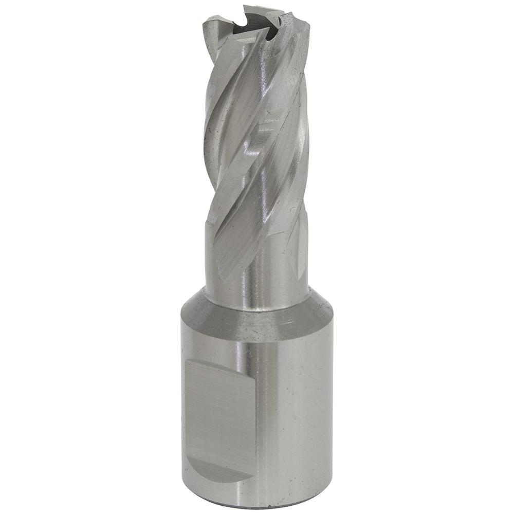Sealey Rotabor Weldon Shank HSS Mag Drill Cutter 12mm 25mm