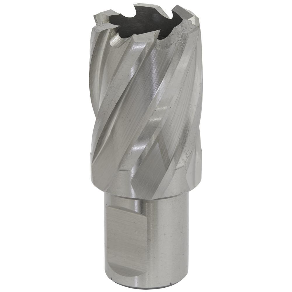 Sealey Rotabor Weldon Shank HSS Mag Drill Cutter 25mm 25mm